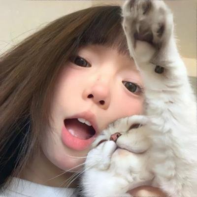 花圃里的蝴蝶