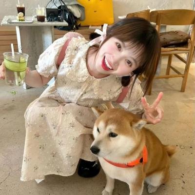 红盾先锋